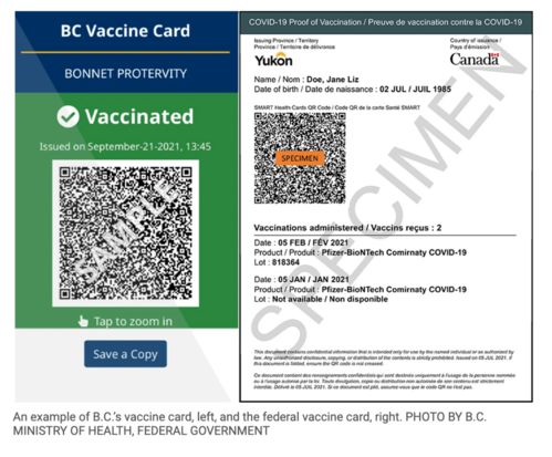 加国入境新规定周二生效 国内旅行必备疫苗证